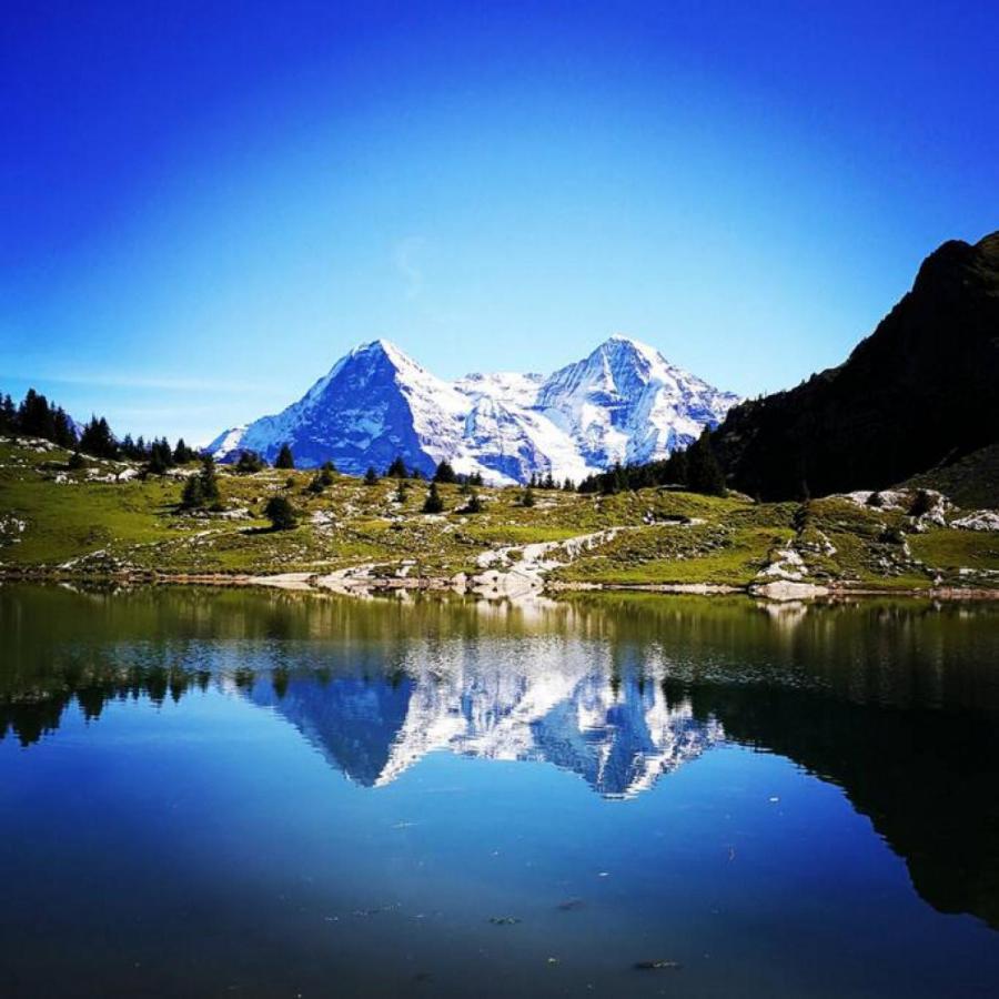 Swisshut Stunning Views Alps Lake - Chalet Erli Darligen Exterior photo