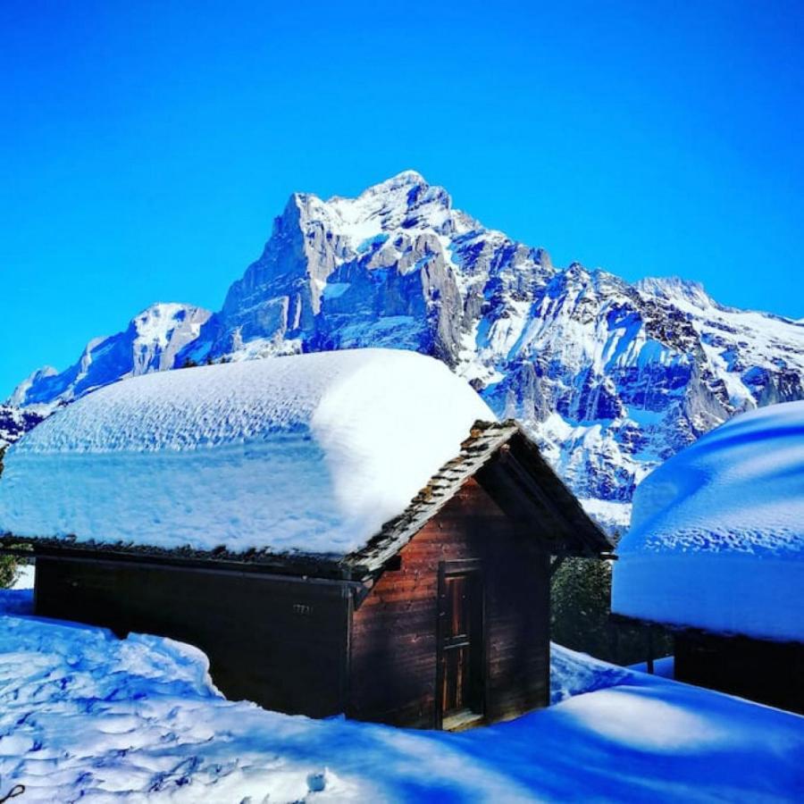 Swisshut Stunning Views Alps Lake - Chalet Erli Darligen Exterior photo