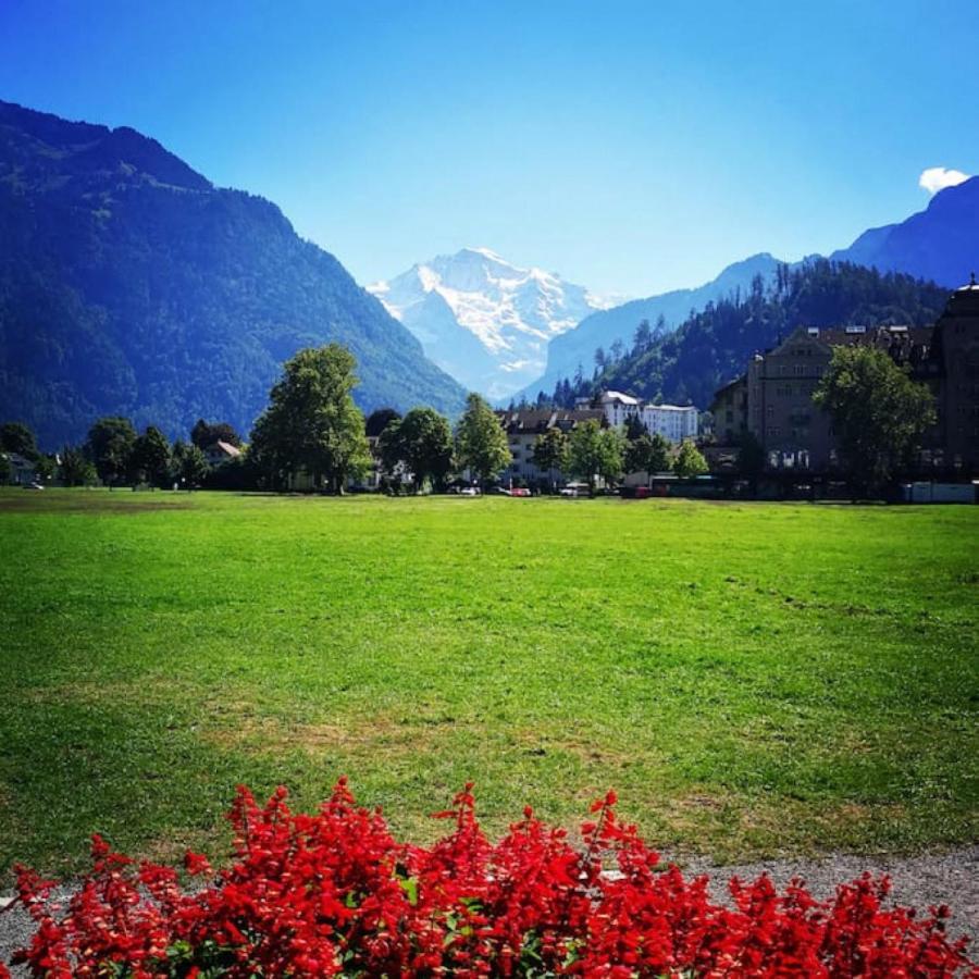 Swisshut Stunning Views Alps Lake - Chalet Erli Darligen Exterior photo